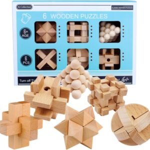 6pc Wooden Critical Thinking Puzzle Game