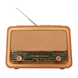 RAISENG R-1969BT Vintage Wooden Radio with Bluetooth, USB & TF